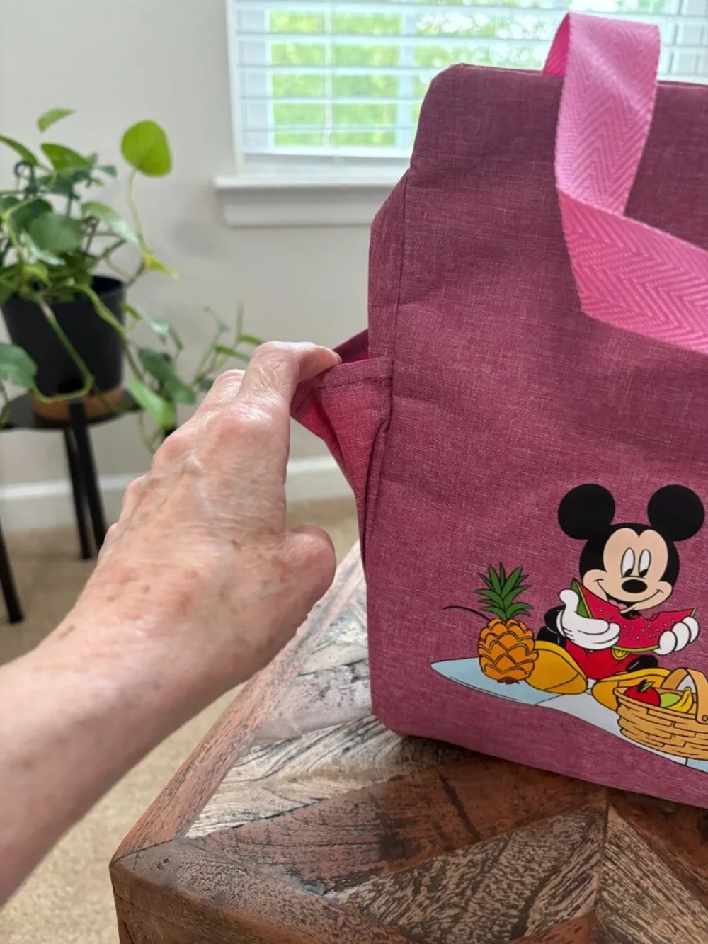 Brivilas Pink Mickey and Minnie Mouse, insulated lunch bag, and Blue Bento Box